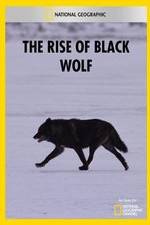 Watch The Rise of Black Wolf Wootly