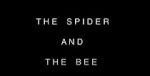 Watch The Spider and the Bee Wootly