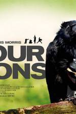 Watch Four Lions Wootly