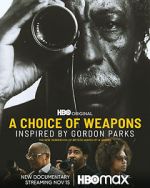Watch A Choice of Weapons: Inspired by Gordon Parks Wootly