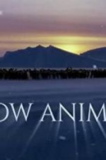 Watch Snow Animals Wootly