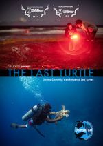 Watch The Last Turtle (Short 2019) Wootly