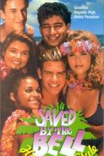 Watch Saved by the Bell Hawaiian Style Wootly