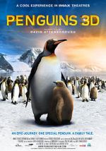 Watch Penguins Wootly