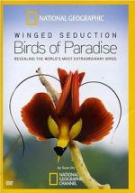 Watch Winged Seduction: Birds of Paradise Wootly