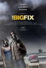Watch The Big Fix Wootly