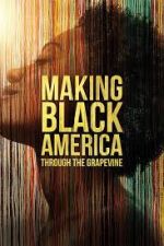 Watch Making Black America: Through the Grapevine Wootly