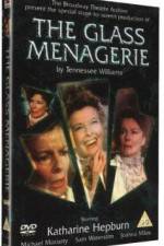 Watch The Glass Menagerie Wootly