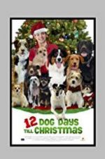 Watch 12 Dog Days Till Christmas Wootly