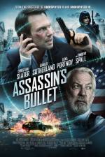 Watch Assassin's Bullet Wootly