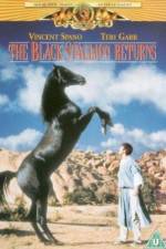 Watch The Black Stallion Returns Wootly