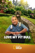 Watch Cesar Millan: Love My Pit Bull Wootly