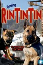 Watch Finding Rin Tin Tin Wootly