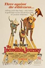 Watch The Incredible Journey Wootly