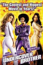 Watch Undercover Brother Wootly