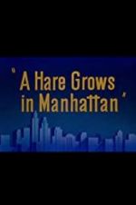 Watch A Hare Grows in Manhattan Wootly