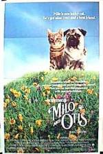 Watch Milo & Otis Wootly