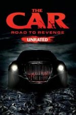 Watch The Car: Road to Revenge Wootly