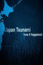 Watch Japan Tsunami: How It Happened Wootly