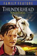 Watch Thunderhead - Son of Flicka Wootly