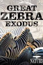 Watch Nature: Great Zebra Exodus Wootly