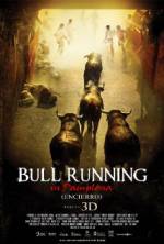 Watch Encierro 3D: Bull Running in Pamplona Wootly