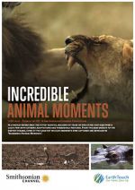 Watch Incredible Animal Moments Wootly