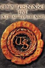 Watch Whitesnake Live in the Still of the Night Wootly