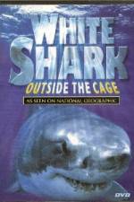 Watch National Geographic white shark:outside the cage Wootly