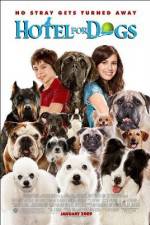 Watch Hotel for Dogs Wootly