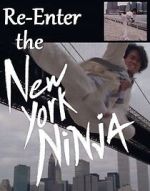 Watch Re-Enter the New York Ninja Wootly