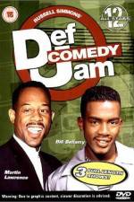 Watch Def Comedy Jam All Stars Vol 12 Wootly