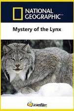 Watch Mystery of the Lynx Wootly