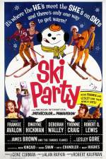 Watch Ski Party Wootly