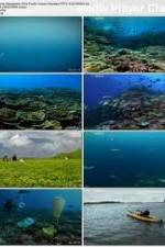 Watch National Geographic: Pacific Ocean Paradise Wootly