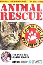 Watch Animal Rescue, Volume 2: Best Cat Rescues Wootly