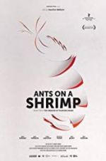 Watch Ants on a Shrimp Wootly