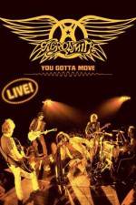 Watch Aerosmith You Gotta Move Wootly