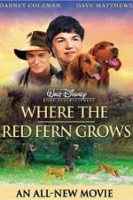 Watch Where the Red Fern Grows Wootly