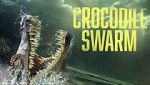 Watch Crocodile Swarm Wootly