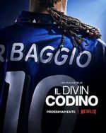 Watch Baggio: The Divine Ponytail Wootly