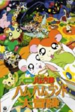 Watch Hamtaro: Adventures in Ham-Ham Land Wootly