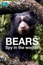 Watch Bears: Spy in the Woods Wootly