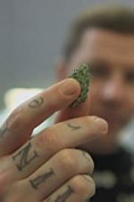 Watch Professor Green: Is It Time to Legalise Weed? Wootly