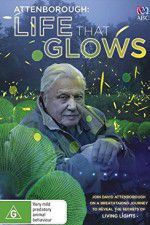 Watch Attenborough\'s Life That Glows Wootly