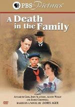 Watch A Death in the Family Wootly