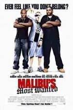 Watch Malibu's Most Wanted Wootly