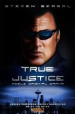 Watch True Justice: Brotherhood Wootly