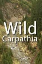 Watch Wild Carpathia Wootly