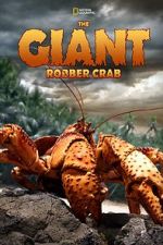 Watch The Giant Robber Crab Wootly